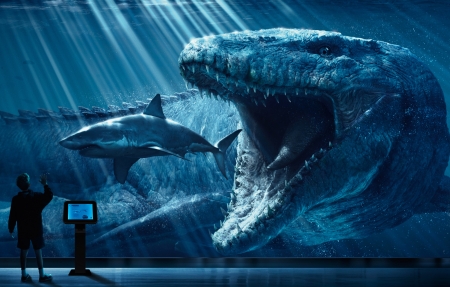 综艺节目类型丰富